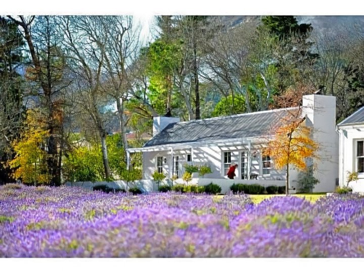 薰衣草农场旅馆(Lavender Farm Guest House)