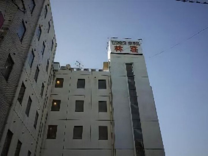 林庄商务酒店(Business Hotel Hayashiso)