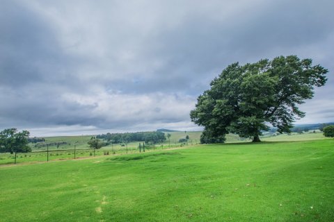 霍约霍约马查多斯德旅馆(Hoyohoyo Machadostud Lodge)