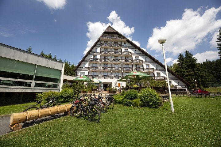 滑雪酒店(Hotel Ski)