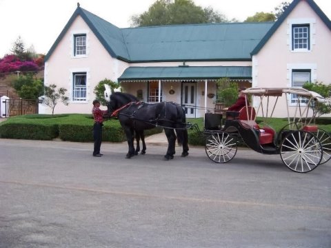 Lemontree Cottage