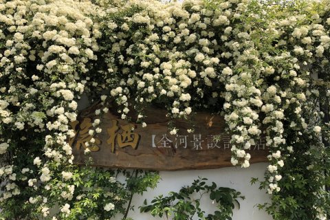 苏州隐栖全河景设计民宿（同里古镇店）