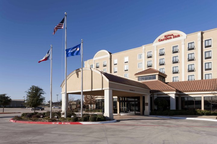 达拉斯路易斯维尔希尔顿花园酒店(Hilton Garden Inn Dallas Lewisville)