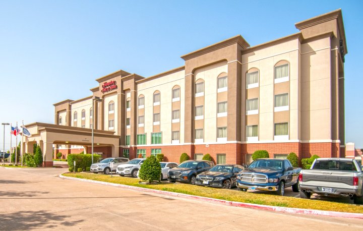 沃克西哈奇汉普顿套房酒店(Hampton Inn and Suites Waxahachie)