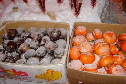 雪谷老姜家客栈(中国雪谷风景区店)