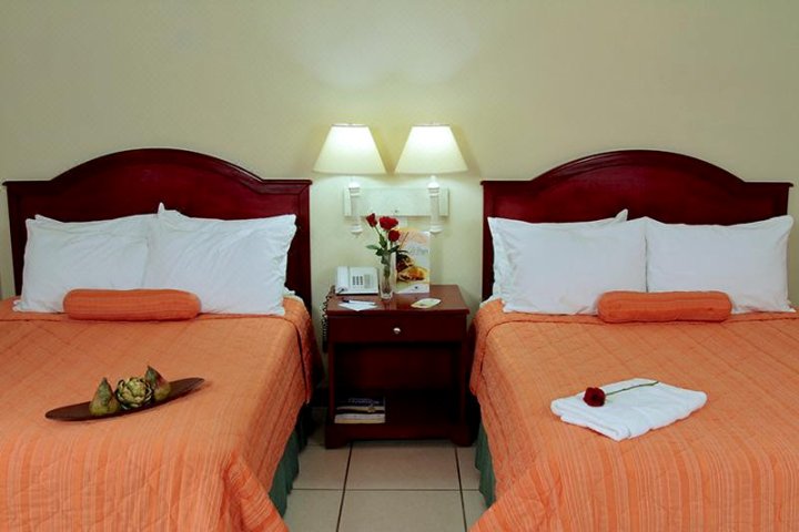 米拉多尔普拉兹酒店(Hotel Mirador Plaza)