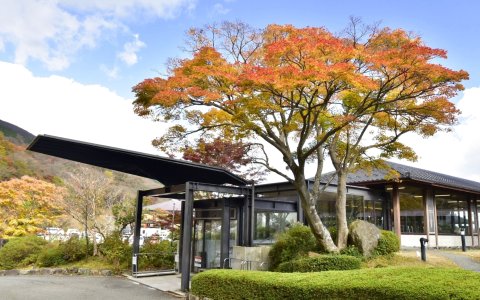 箱根汤之花王子酒店(Hakone Yunohana Prince Hotel)