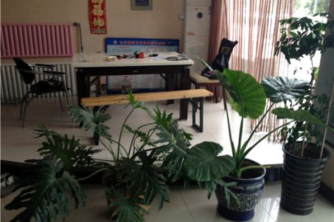 卢龙冀强快捷宾馆