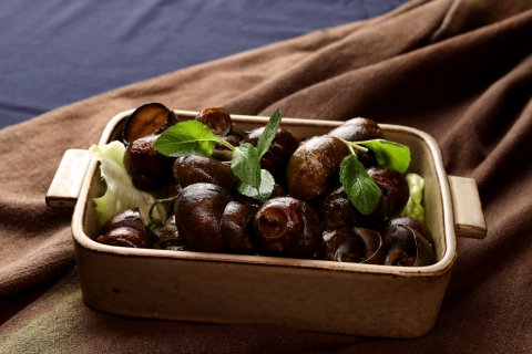 栖心·九隐的院子(阳朔十里画廊遇龙河店)