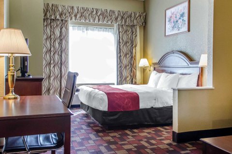 北赫尔希格兰维尔舒适套房酒店(Comfort Suites Grantville - Hershey North)