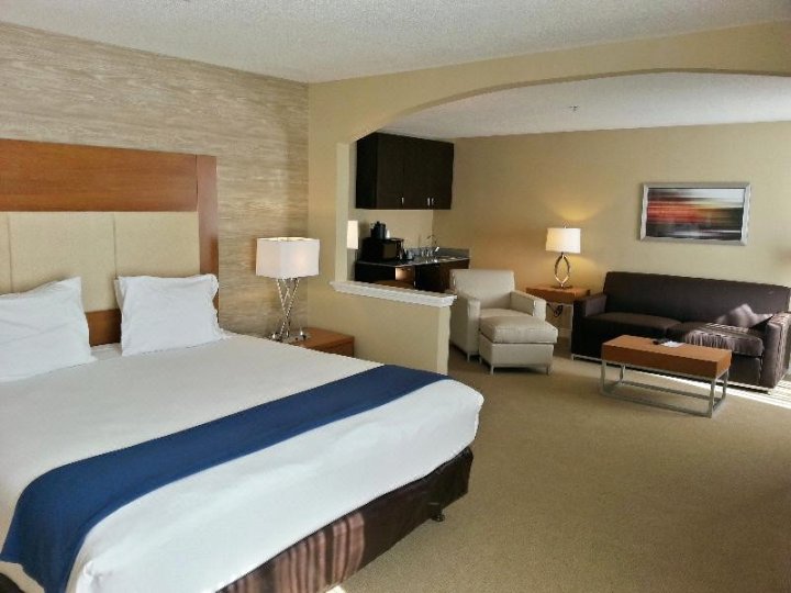 Holiday Inn & Suites SPRING - THE WOODLANDS AREA