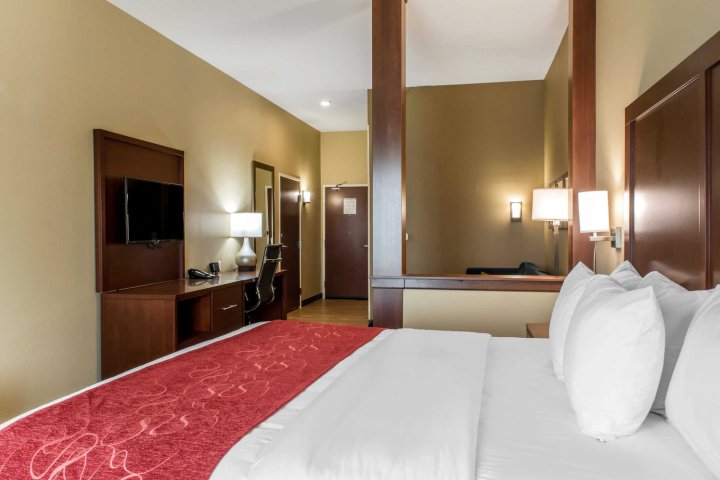 全套房舒适酒店(Comfort Suites Billings)