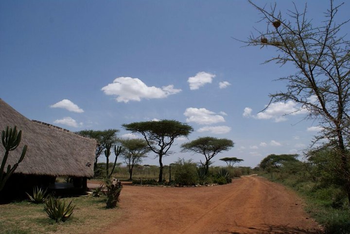 伊科玛帐篷营地酒店(Ikoma Tented Camp)