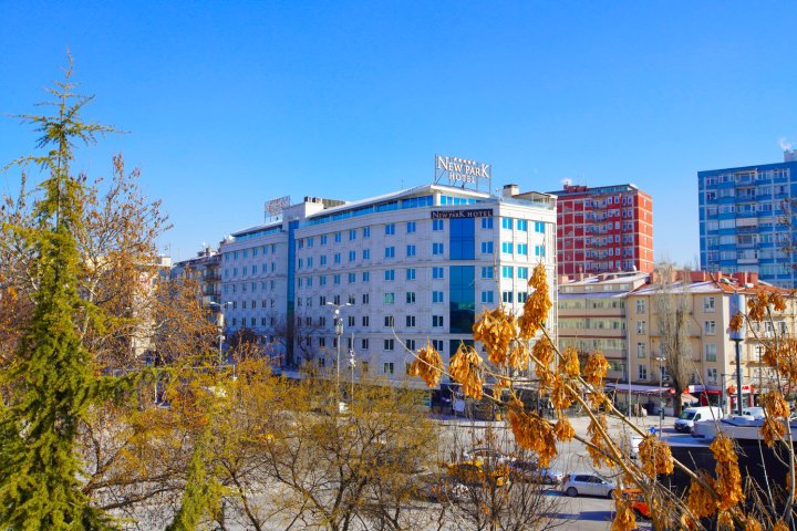 新公园酒店(NEW PARK HOTEL)