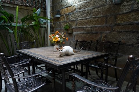 鼓浪屿时光素屿·SeaView海景民宿