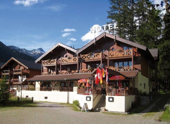 阿尔卑斯霍夫酒店(Hotel Alpenhof)