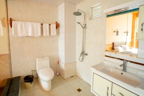 香格里拉中虎跳张老师客栈