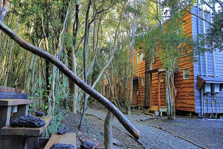 恩森那达原生森林小屋酒店(Cabañas Ensenada Bosque Nativo)