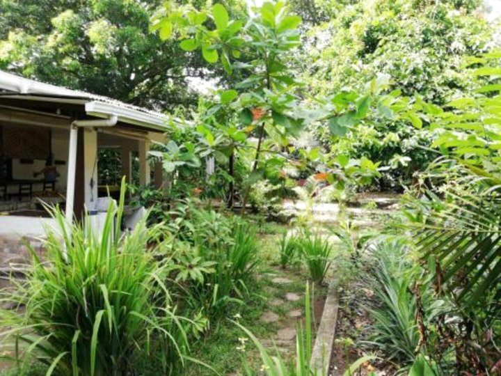 阿拉卡丽花园旅馆(Aracari Garden Hostel)