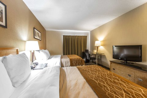 悉尼舒适酒店(Comfort Inn Sydney)