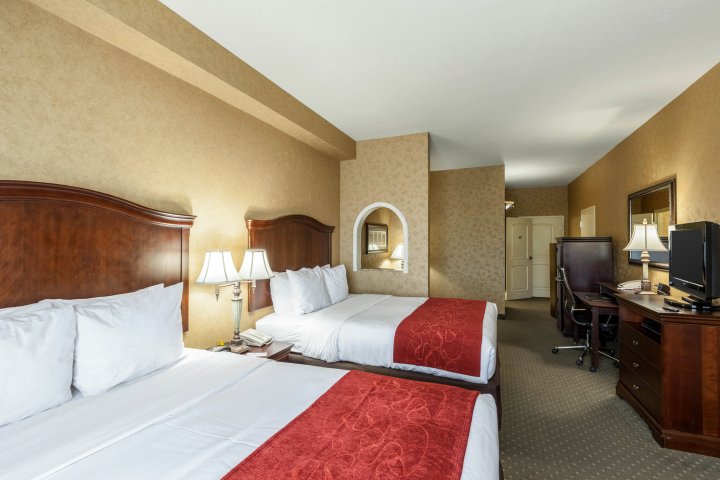 阿拉莫河畔舒适套房酒店(Comfort Suites Alamo Riverwalk)