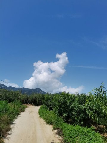 蒙阴初见云舍民宿(孟蒙线分店)