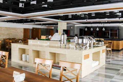 长白山天沐戴斯温泉酒店