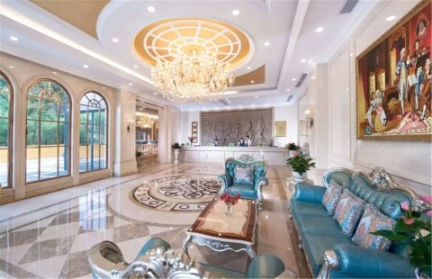 维也纳酒店(深圳龙珠店)