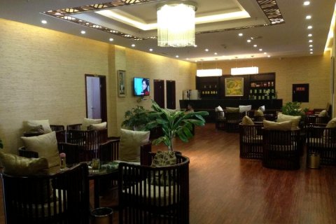 石棉维仕登大酒店