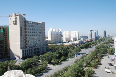 东鑫宾馆(石河子开发区汇林大厦店)