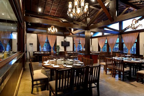 都江堰青城豪生国际酒店