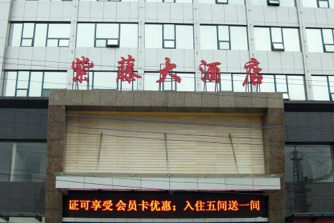 怀化紫藤大酒店(火车站广场店)