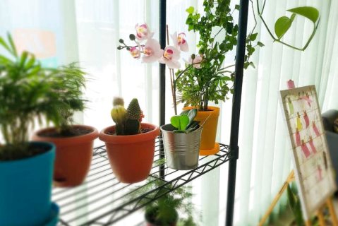 锦江之星酒店(哈尔滨麦德龙埃德蒙顿路机场巴士店)