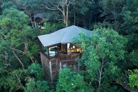 普洱小熊猫庄园