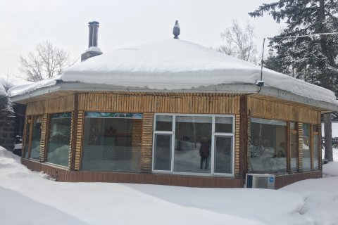 鹿园客栈(长白山黄松蒲检票大厅店)