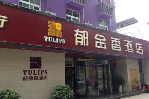 房县郁金香酒店