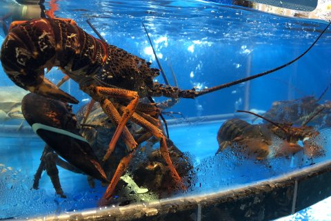 杭州碧海云天宾馆