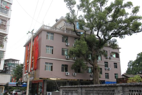 兴国香樟树宾馆
