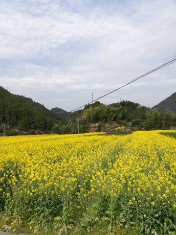 建德杭派民居农家乐