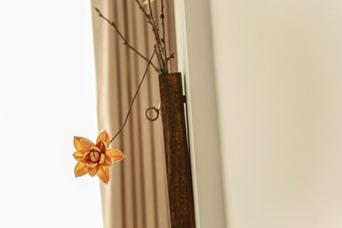 缙云云曼六舍民宿