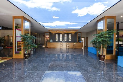 大英三鑫精品酒店