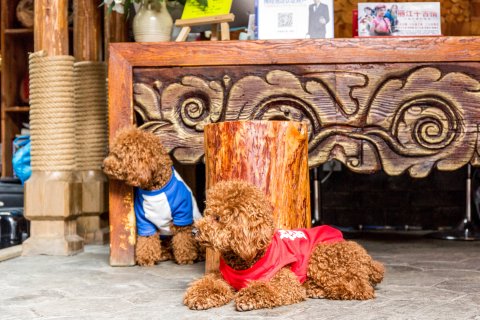 雲且慢客栈(丽江古城心花路放店)