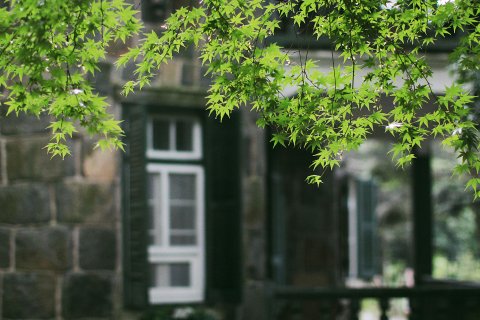 莫干山枫鹃谷忘山别墅