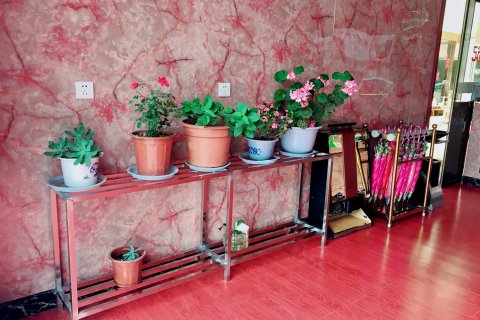 吉隆珠峰后花园酒店