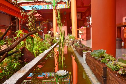 泸沽湖巴嘉卓卡藏式客栈