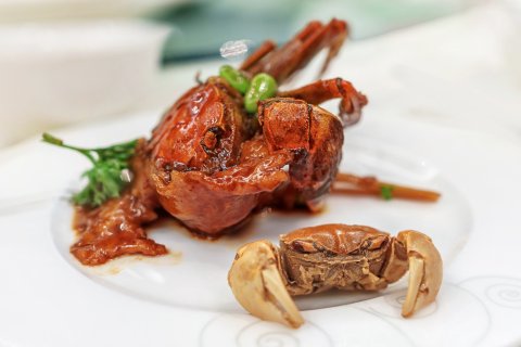 上海怡沁园度假村