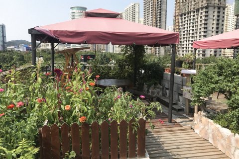 沃德阿拉丁酒店(威海韩乐坊店)