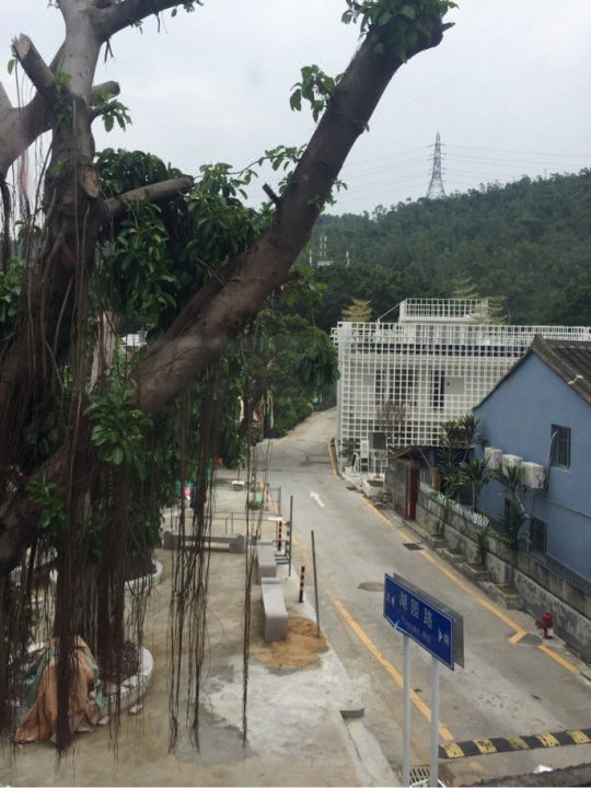 深圳皇室民宿(叉路口分店)