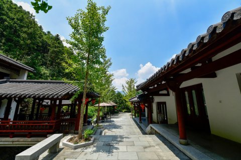 桐庐天子地森林康养度假酒店