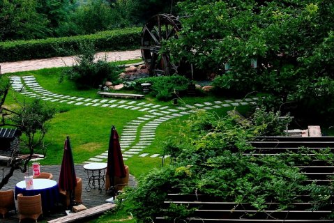 云峰山童话树屋